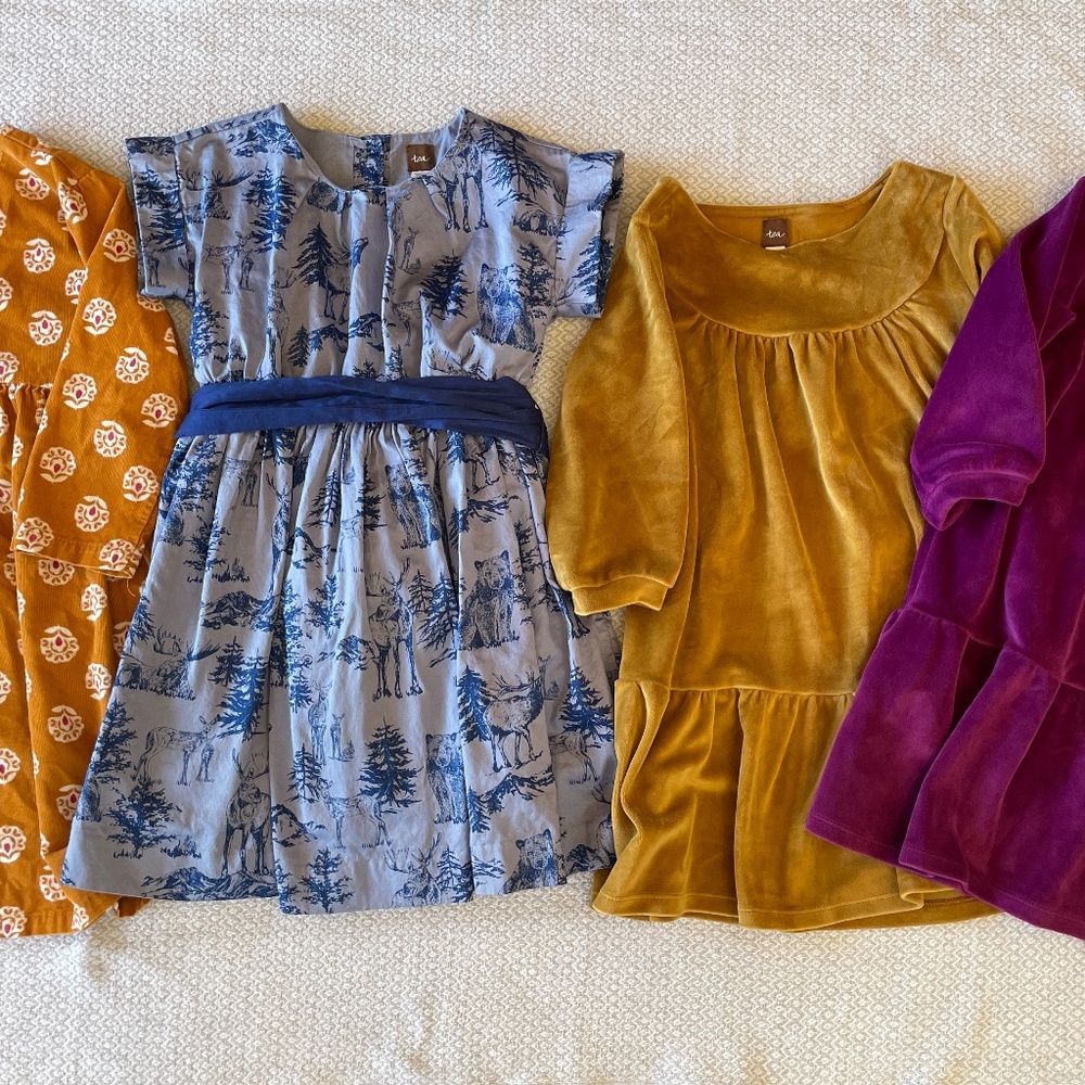 Tea Collection Dress Bundle